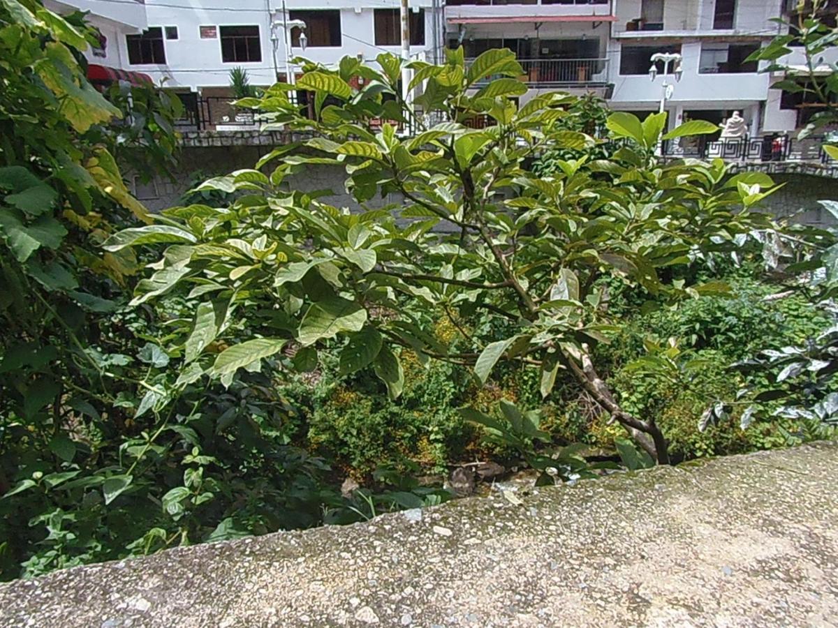 Hostal Pablo'S House Machu Picchu Ngoại thất bức ảnh